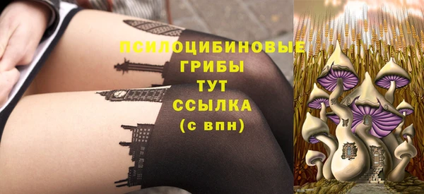 амфетамин Богданович